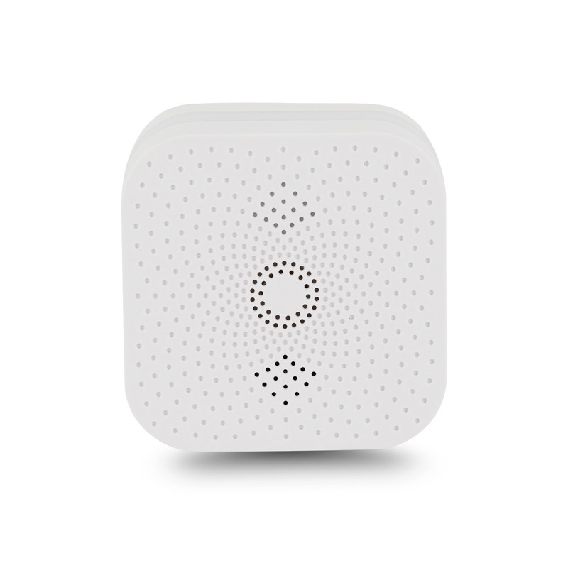 CH4 Gas Alarm Detector For Hilton Hotel Use With CE RoHS